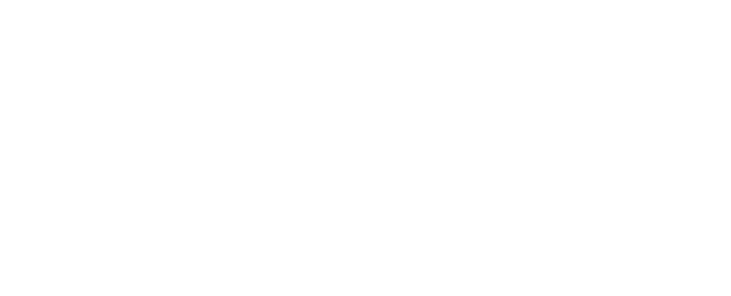 logo netskope
