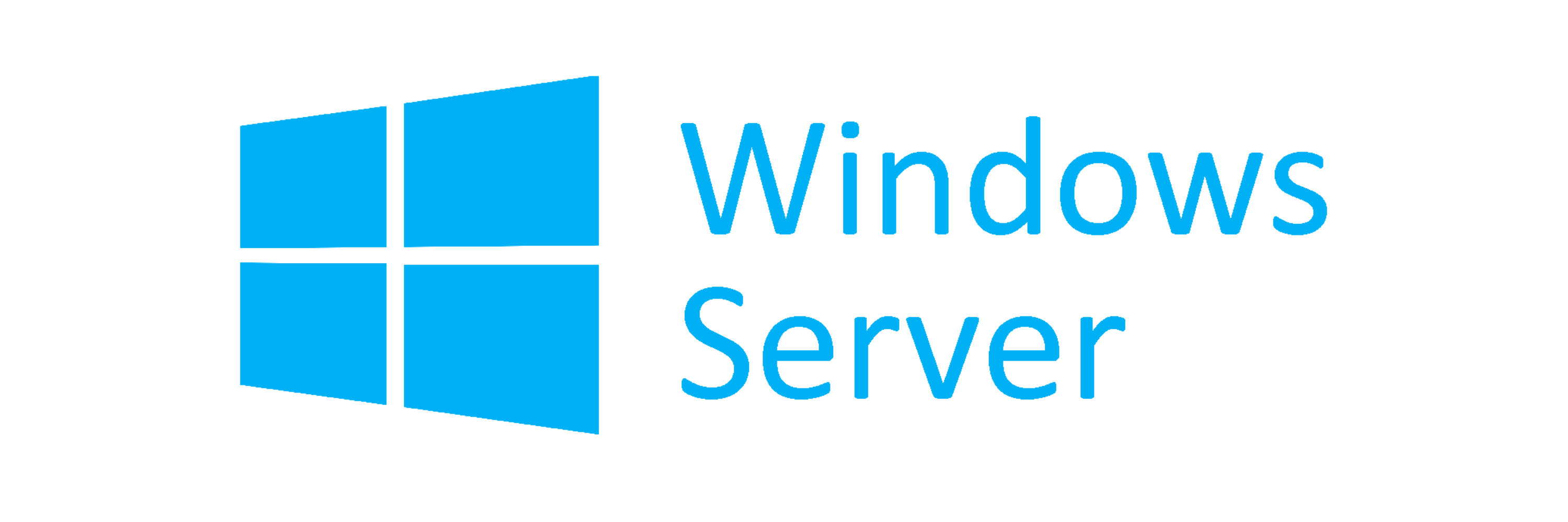 Windows server_Logo