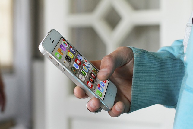 Servicio de virtualización de servidores 4 Virtualizacion de apps